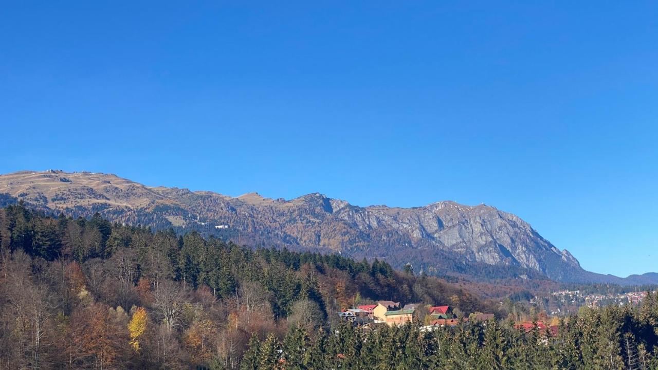 Perfect View Apartment Sinaia Luaran gambar